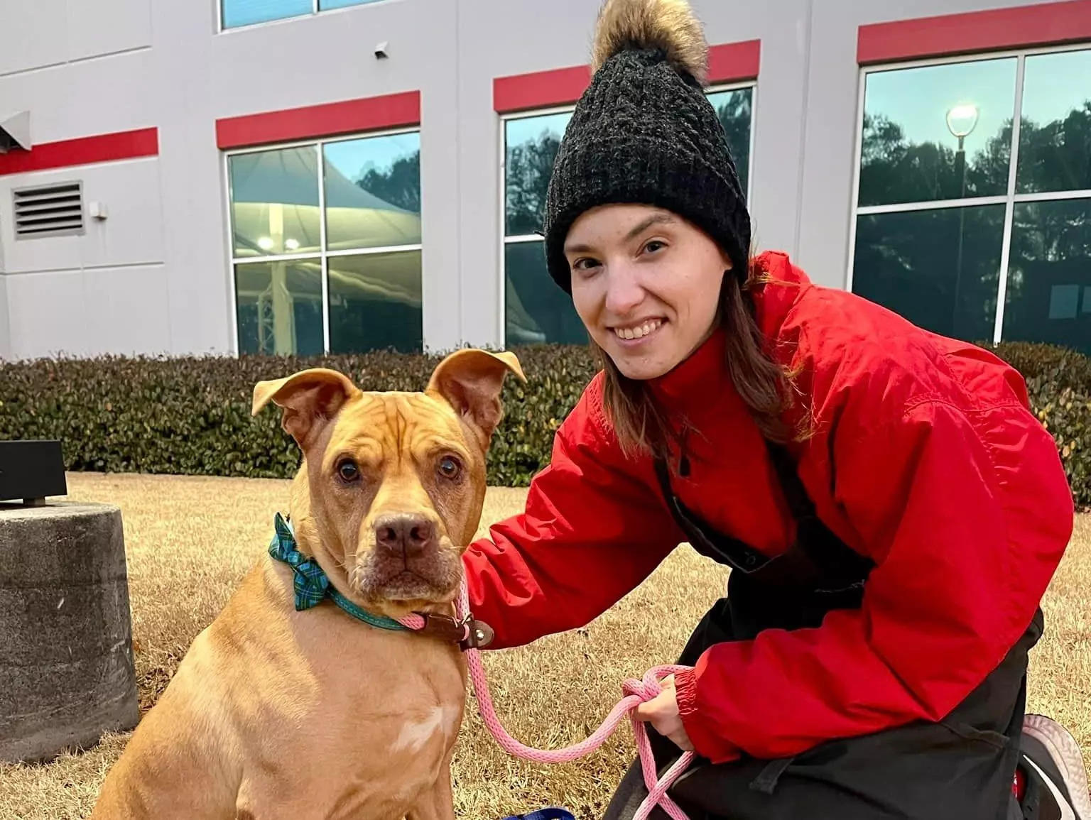 i-volunteer-at-an-animal-shelter-a-senior-dog-is-inspiring-me-to