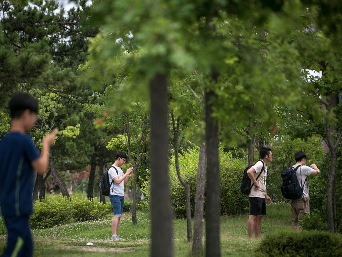 Pokémon GO Becomes One with Nature