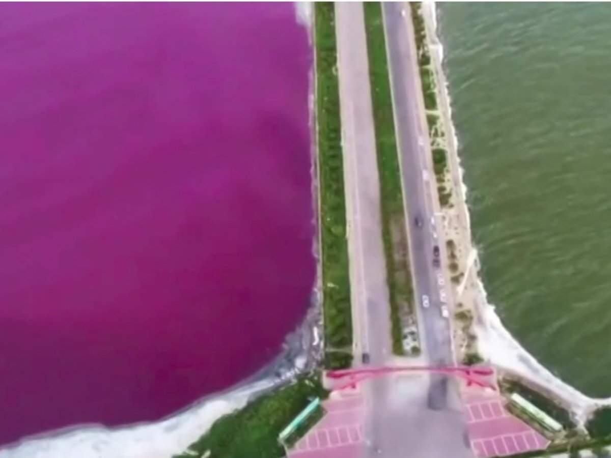 Utah's Great Salt Lake turns bright blue and pink in colour and the  internet is mesmerised by nature's beauty – India TV