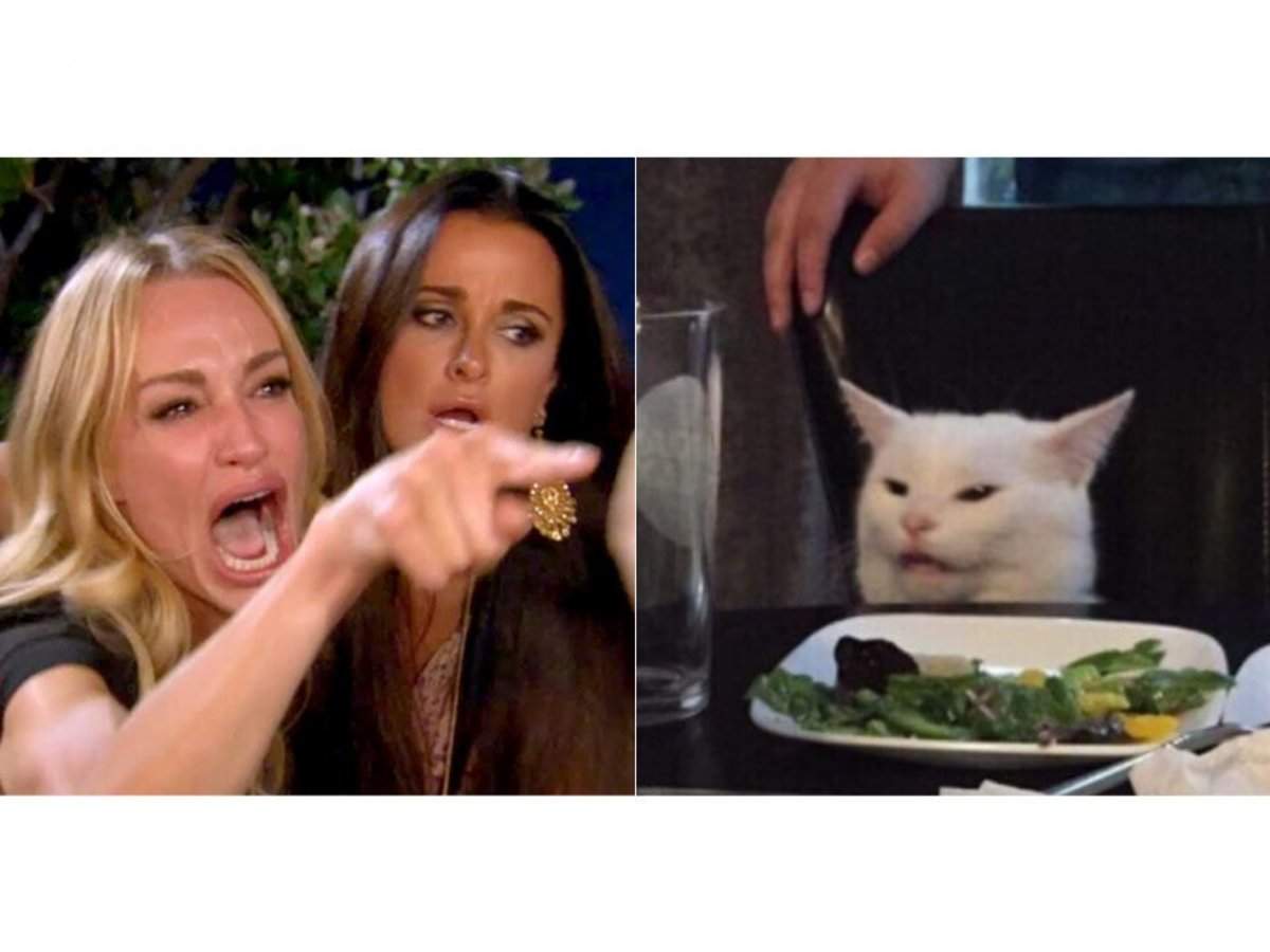 How A Cat Named Smudge S Distaste For Salad Created One Of 19 S Most Popular Memes Business Insider India