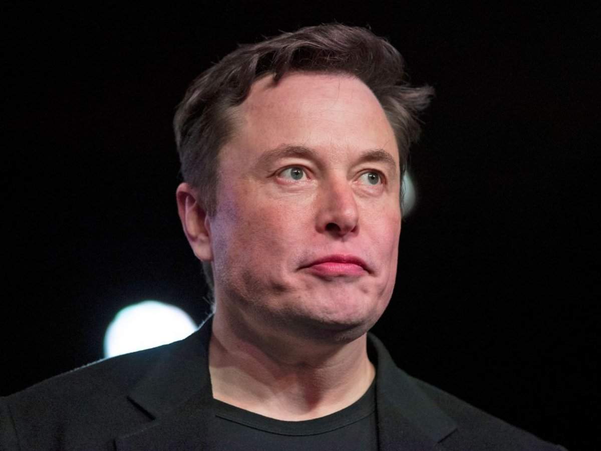 Wikipedia owner confirms website's future as speculation grows about Elon  Musk's interest