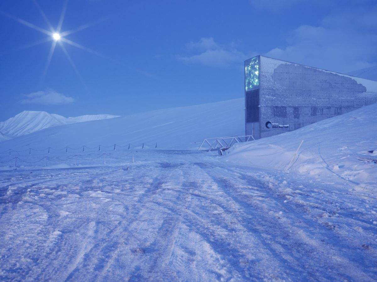 If The World Ends The Doomsday Vault Now Has Over A Million Types Of Seed To Help Humanity Start Over Business Insider India