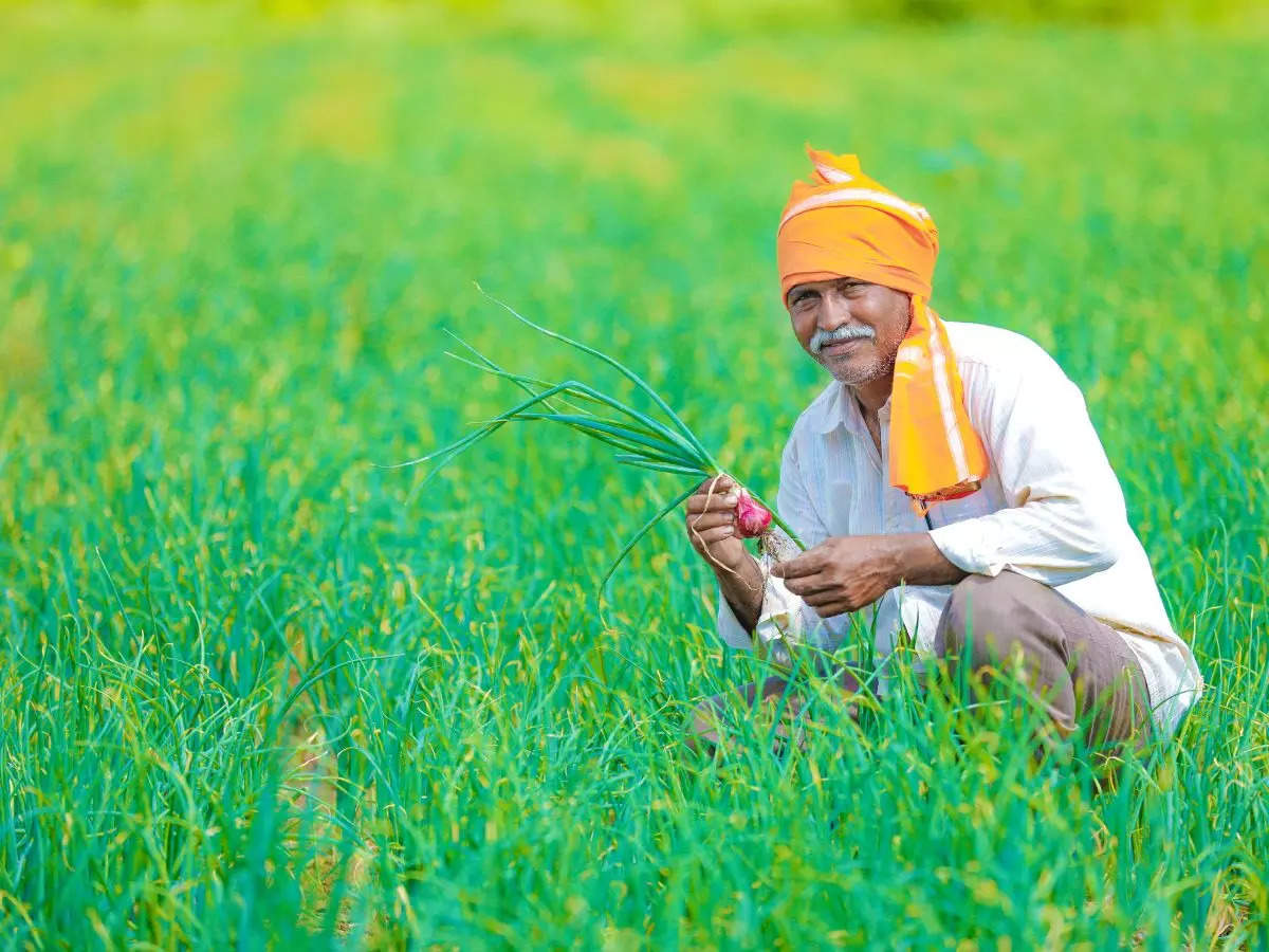 pictures of indian farmers working in fields