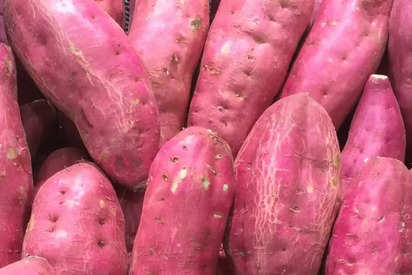 Sweet potatoes: A comprehensive guide to nature's sweet gift | Business  Insider India