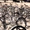 apple campus bike