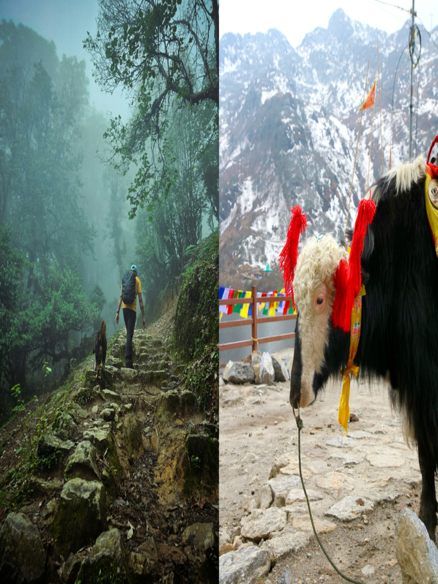 Sikkim calling: 10 Must-do activities for your Himalayan adventure ...