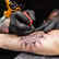 
Tattoos, no matter what size, can put you at increased cancer risk: Study
