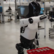 
Tesla's 'Optimus' AI humanoid robot is expected to hit markets in 2025. Here's what it is capable of
