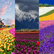 
World’s most iconic flower destinations
