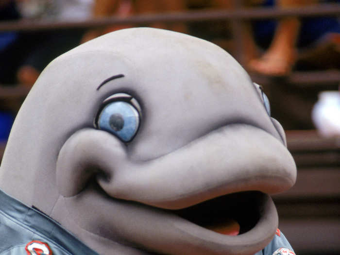 MIAMI DOLPHINS MASCOT FLIPPER  Miami dolphins, Dolphins, Mascot