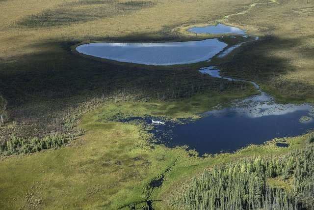 US Air Force Douglas C-47. Crashed near Haines Junction, Yukon, Canada ...