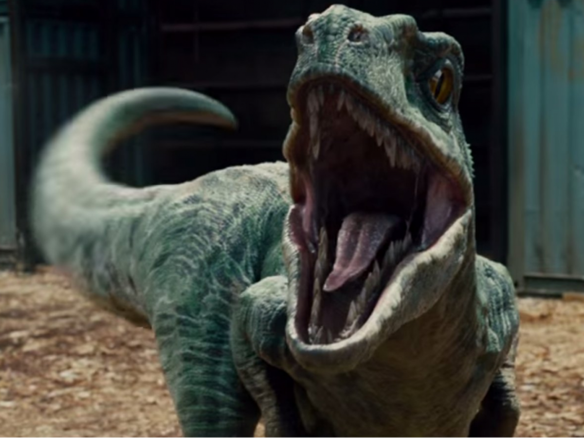 The Velociraptors in the 'Jurassic Park' movies are nothing like their real-life  counterparts