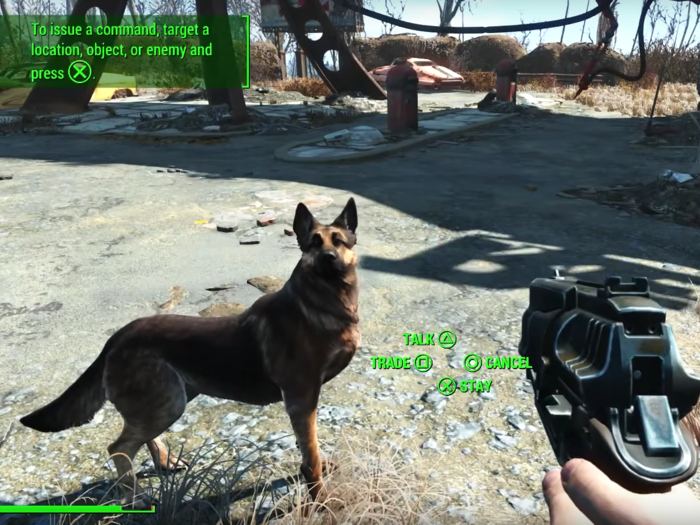 what can dogmeat wear