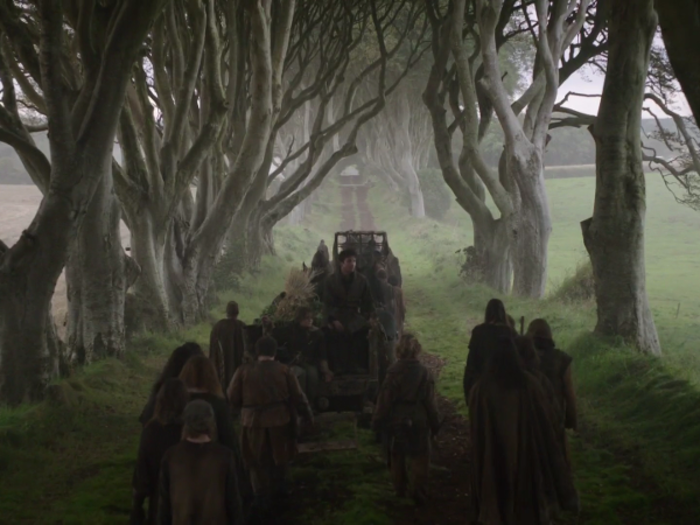 in season two the dark hedges served as the kingsroad carrying arya away from kings landing