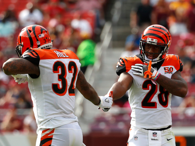 23. Cincinnati Bengals | Business Insider India