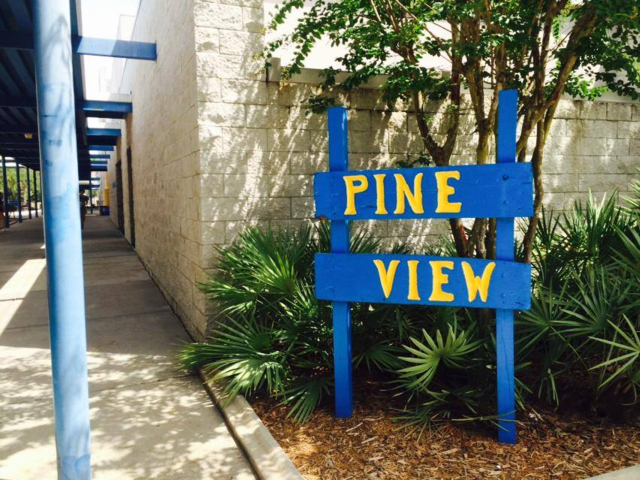 Florida Pine View School Business Insider India