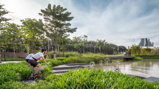 A linear rain garden — which also absorbs water — lines the park's ...