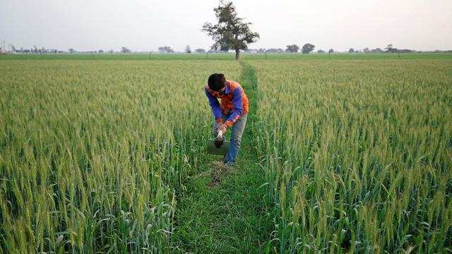 India's government has modified its crop insurance scheme to attract more farmers