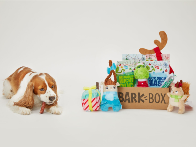 dog subscription box india