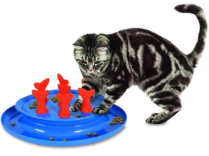 The Benefits of Using Puzzle Feeders for Cats