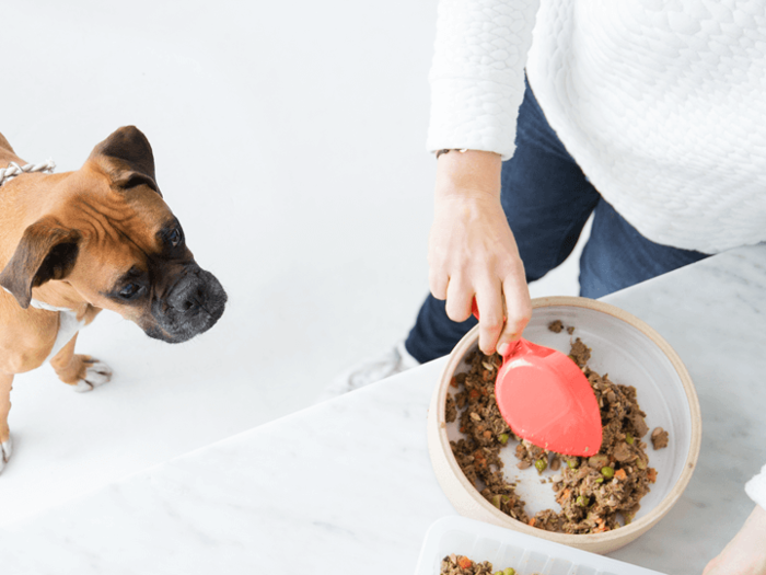 PetPlate: Fresh Dog Food Delivery