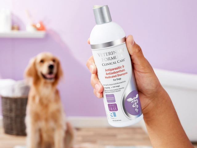 the-best-medicated-shampoos-for-dogs-you-can-buy-business-insider-india