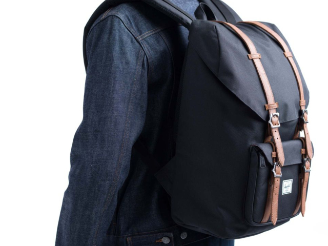 best backpacks in india