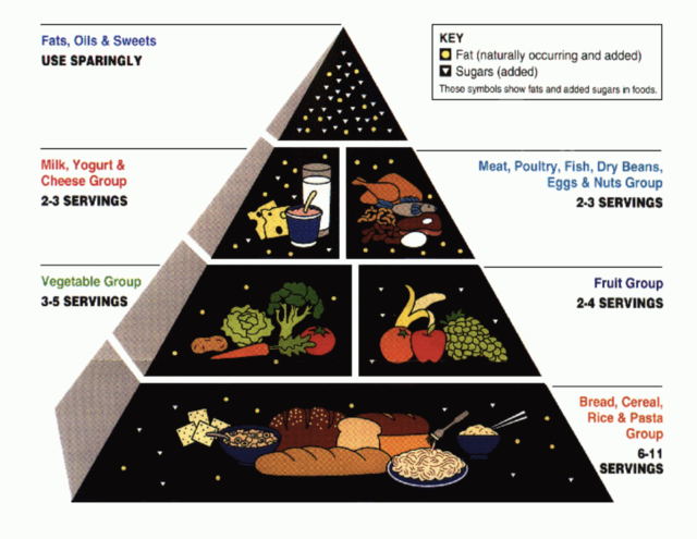 MYTH: The food pyramid should be your go-to guide. | Business Insider India