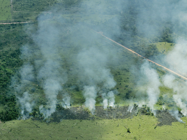 Photos Show The Amazon Rainforest Before And After The Devastating Wildfires Business