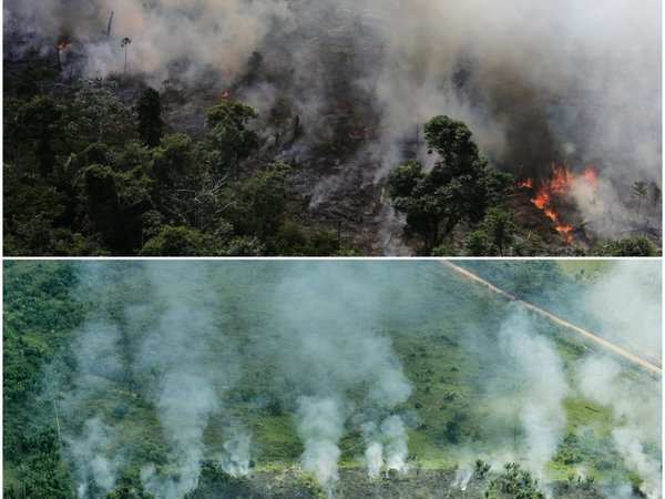 Photos Show The Amazon Rainforest Before And After The Devastating | My