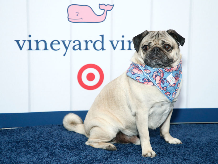 Brands similar 2024 to vineyard vines