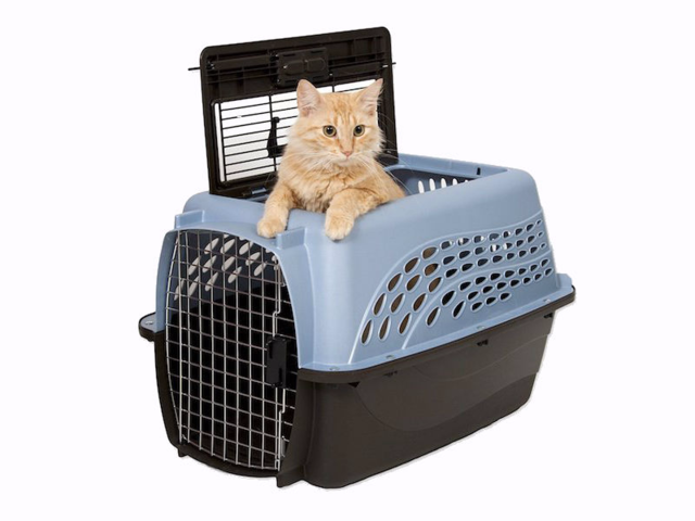 cat carrier hard shell