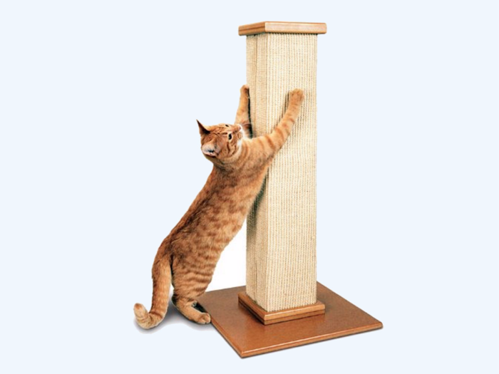 best cat scratcher for large cats