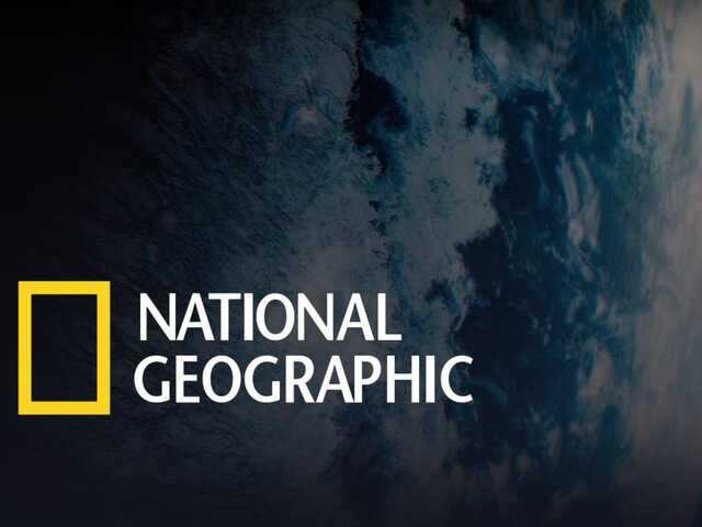 All the National Geographic shows and movies you can stream on Disney ...