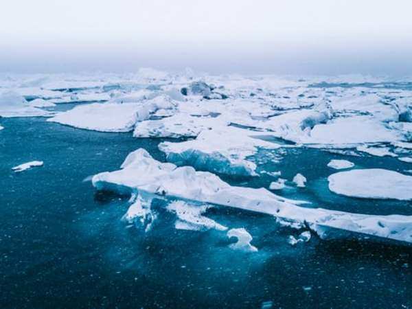 The Arctic, one of the coldest places on Earth, is becoming greener and ...