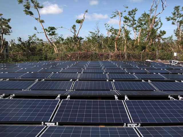 Sensei built two 20,000-square-foot hydroponic greenhouses, known as Sensei Farms. The greenhouses have sensors and cameras that track data about the farms, including water usage and airflow. According to Forbes, they're powered by 1,600 Tesla solar panels (Ellison sits on Tesla's board).