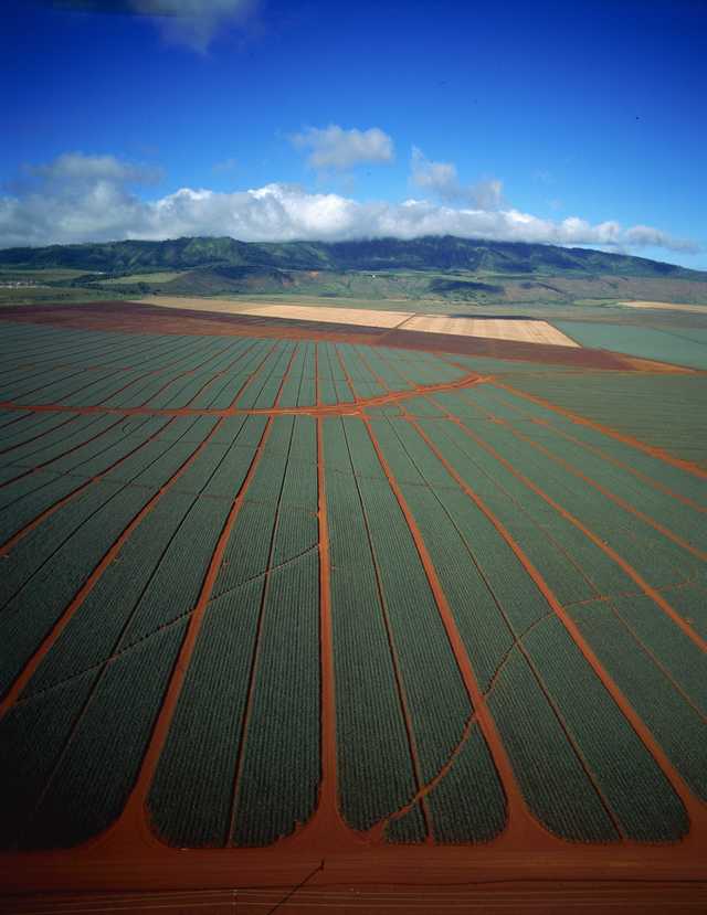 Murdock became the owner of Lanai in 1985 after taking over Dole's parent company, Castle & Cooke. Prior to Murdock's ownership, the island was controlled by "Pineapple King" James Dole.