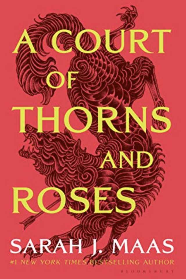 books like a court of thorns and roses