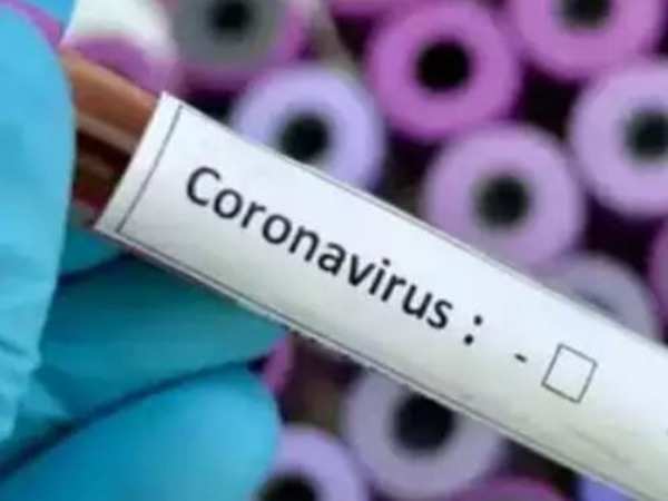 India records 1,15,736 new COVID-19 cases and 630 ...