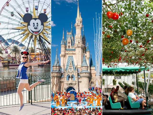 9 Guinness World Records that were set inside Disney parks ...