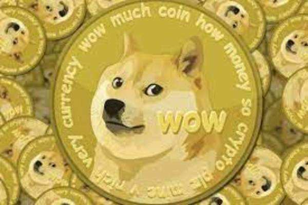 Amid Dogecoin rally, users need to be careful not to fall ...